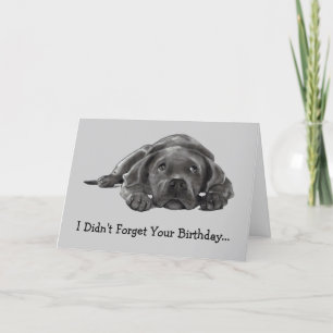 BELATED BIRTHDAY: HATTE NICHT VERGESSEN: ZU LAZY,  KARTE