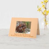 Belated Birthday, humorvoll Karte (Gelbe Blume)