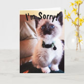 Belated Birthday Ich bin Sorry Niedlich Siamese Ki Karte (Gelbe Blume)