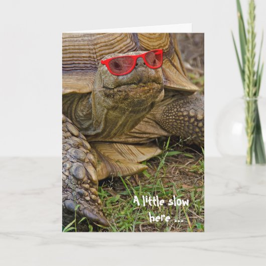 Belated Birthday Tortoise in Sonnenbrille Karte (Vorderseite)