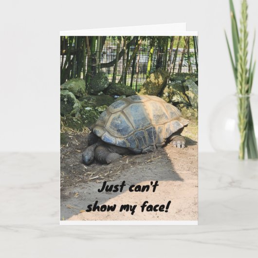 *BELATED* GEBURTSTAG VON LAZY TURTLE KARTE (Vorderseite)