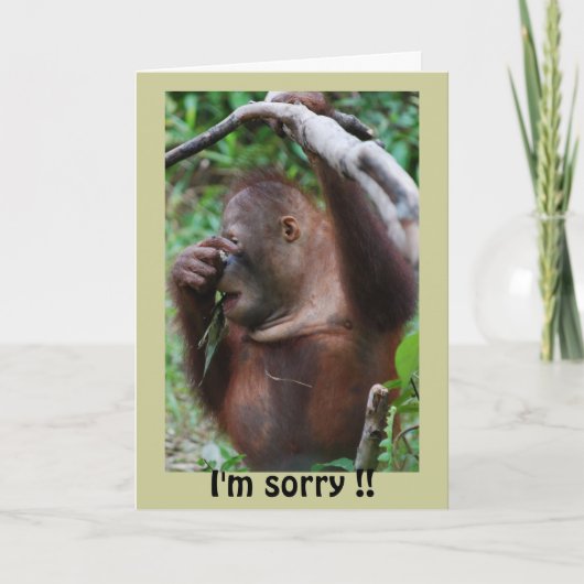 Belated Happy Birthday Karte (Vorderseite)