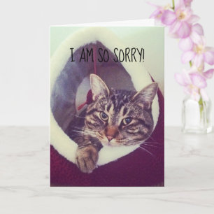 Belated Sorry Grey Tabby Kitty Placeholders Foto Karte