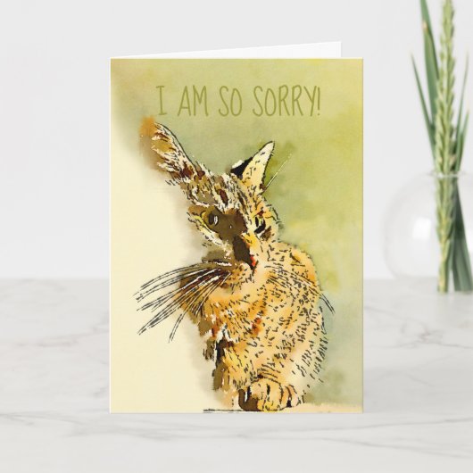 Belated Sorry Red Tabby Kitty Replaceable Foto Karte (Vorderseite)