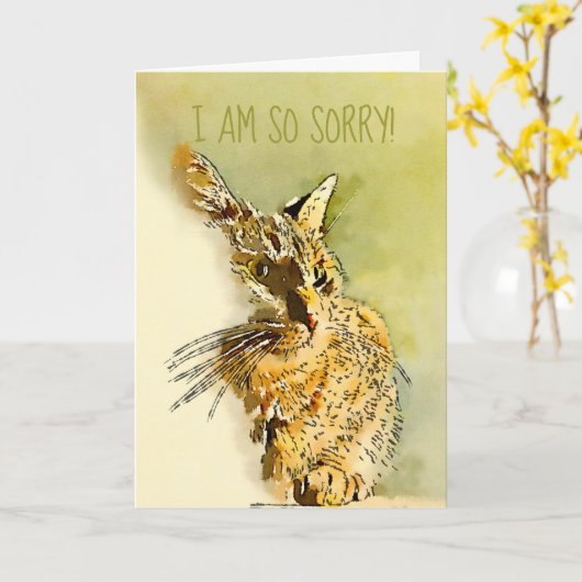 Belated Sorry Red Tabby Kitty Replaceable Foto Karte (Gelbe Blume)