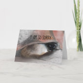 Belated Sorry Siamese Kitty Replaceable Foto Karte (Vorderseite)