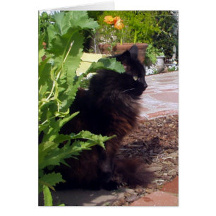 Belaubte Madeleine-Karte