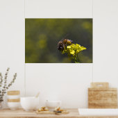 Belebt als Biene Poster (Küche)