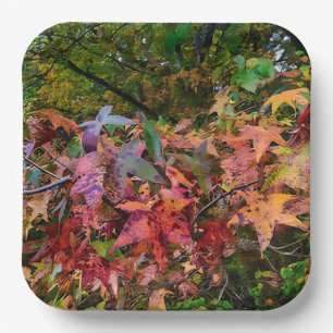 Belebte Fall-Foliage Pappteller