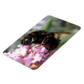 Belebte Hummel und rosa Blume Flexi Magnet (Linke Seite)