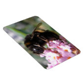 Belebte Hummel und rosa Blume Flexi Magnet (Rechte Seite)