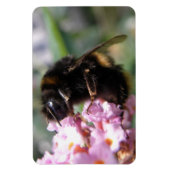 Belebte Hummel und rosa Blume Flexi Magnet (Vertikal)