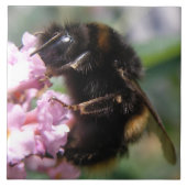 Belebte Hummel und rosa Blume Tile Fliese (Vorderseite)