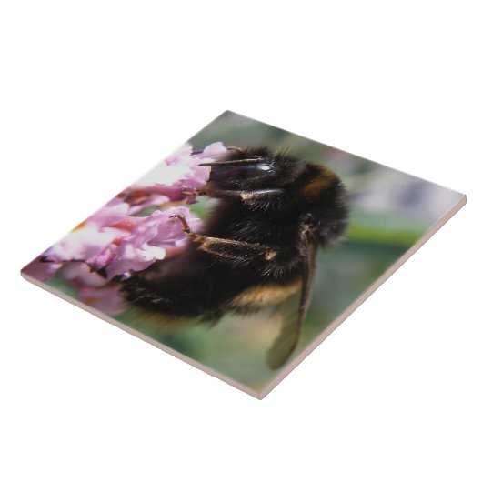 Belebte Hummel und rosa Blume Tile Fliese (Seite)