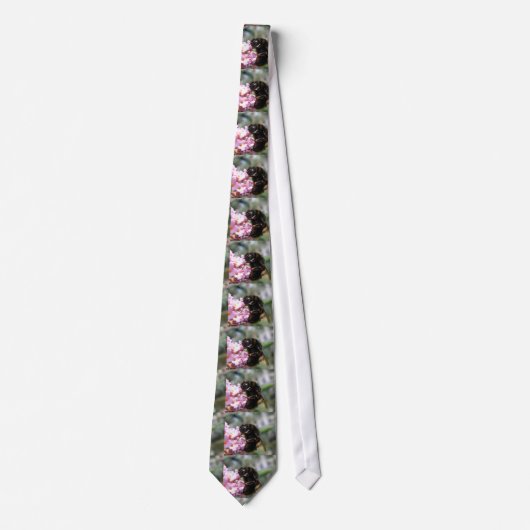 Belebte Krawatte von Hummeln und rosa Blume (Vorderseite)