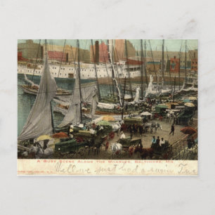 Belebte Szene an den Kais, Baltimore, MD 1905 Postkarte