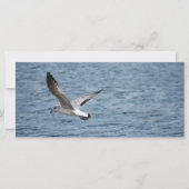 Belegekarte (Rückseite)