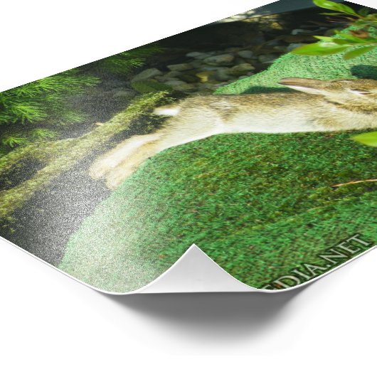 Beleuchten Fotodruck (Ecke)