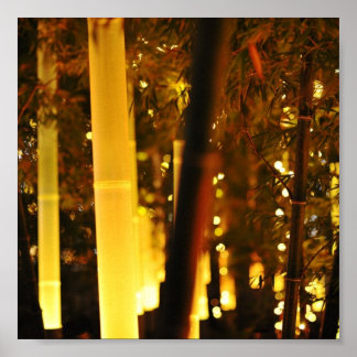 Beleuchteter Bambus. Tokio, Japan. Poster