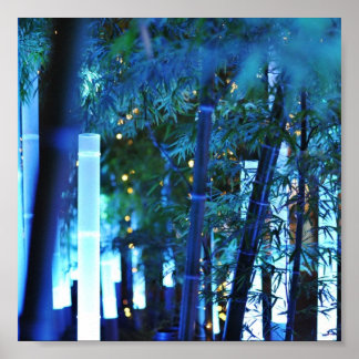 Beleuchteter Bambus. Tokio, Japan. Poster