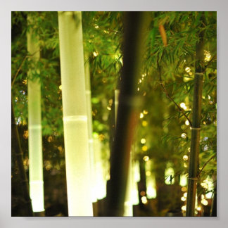 Beleuchteter Bambus. Tokio, Japan. Poster