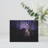 Beleuchtung in den Bäumen Postkarte (Stehend Vorderseite)