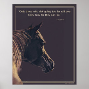Beleuchtung Poster