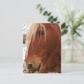 Belgian Horse Gelding Postkarte (Stehend Vorderseite)