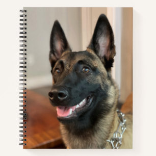 Belgian Malinois Dog Notizblock