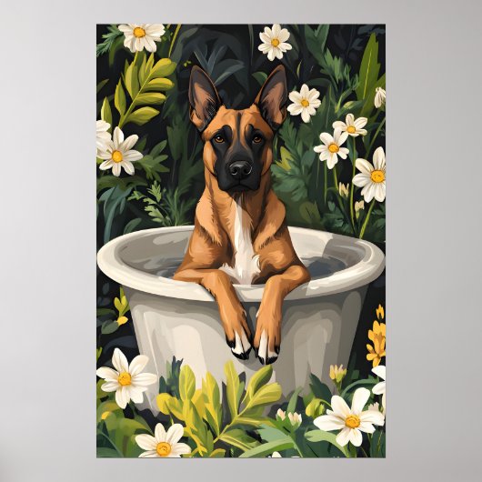 Belgian Malinois In Bathtub Poster, Funny Dog Poster (Vorne)