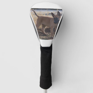 Belgian_Malinois_Puppy voll Golf Headcover