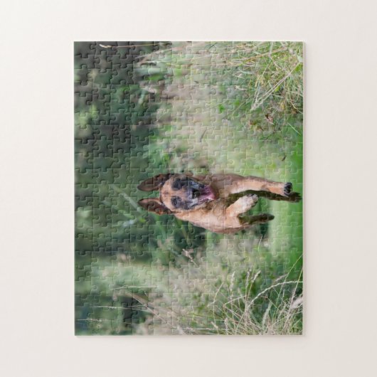 Belgian Malinois Running Puzzle (Vertikal)
