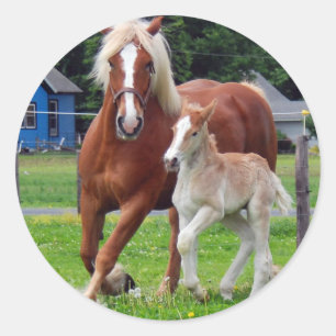 belgian Mare and Filly Runder Aufkleber