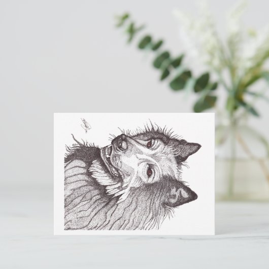 BELGIAN SHEPHERD GROENENDAEL POSTKARTE (Stehend Vorderseite)