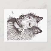 BELGIAN SHEPHERD GROENENDAEL POSTKARTE (Vorderseite)