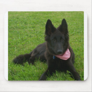 Belgian_Shepherd_Groenendael_puppy Mousepad