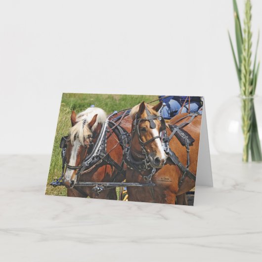 Belgian Team Karte (Vorderseite)