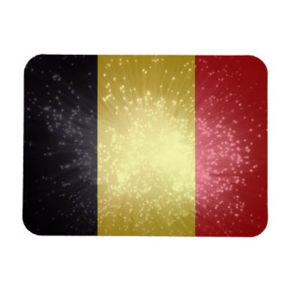 België; Belgienflagge Magnet