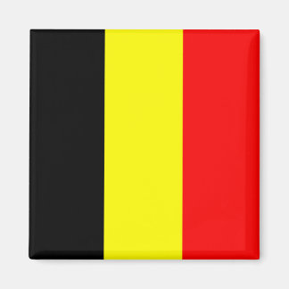 Belgien Magnet