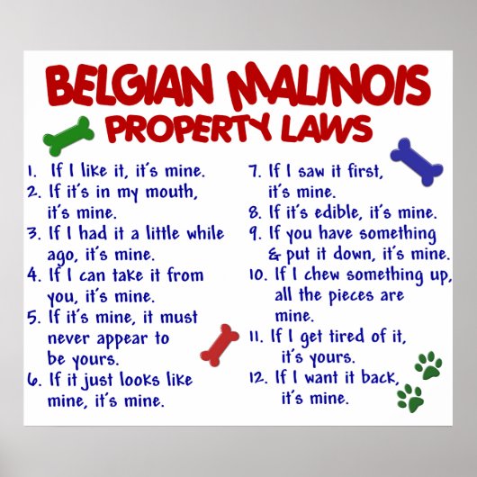 BELGIEN MALINOIS PL2 POSTER (Vorne)
