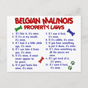 BELGIEN MALINOIS PL2 POSTKARTE