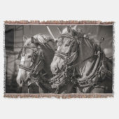 Belgien Pferdezuchtpferde Decke (Vorderseite)