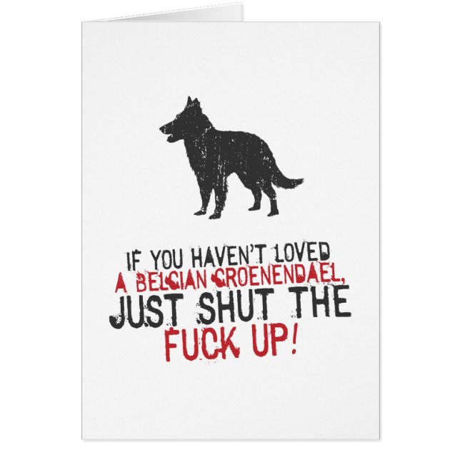 Belgier Groenendael (Vorne)