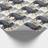 Belgier (Groenendael) voll Geschenkpapier (Ecke)