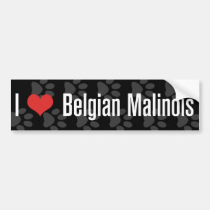 Belgier I (Herz) Malinois Autoaufkleber
