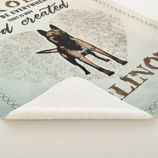 Belgier Malinois - belgischer Schäfer - Maligator Sherpadecke (3/4)