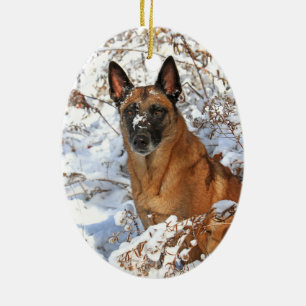 Belgier Malinois in der Schneeverzierung Keramik Ornament