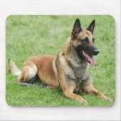 Belgier Malinois Mousepad (Vorne)