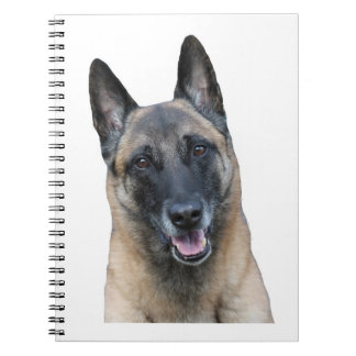 Belgier Malinois Notizbuch Notizblock