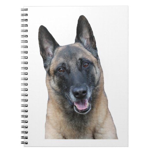 Belgier Malinois Notizbuch Notizblock (Vorderseite)